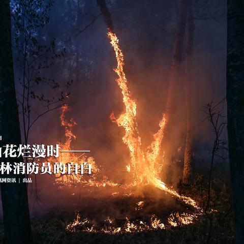 第387页