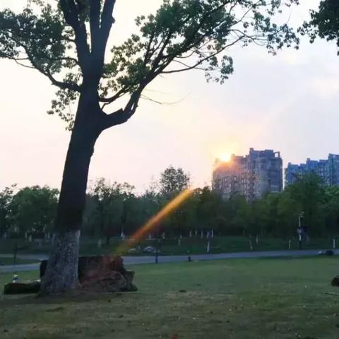 展翅欲飞